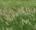 Floraland Farms & Nurseries