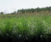 Floraland Farms & Nurseries