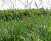 Floraland Farms & Nurseries