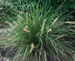 Floraland Farms & Nurseries
