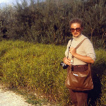 Carex muskingumensis